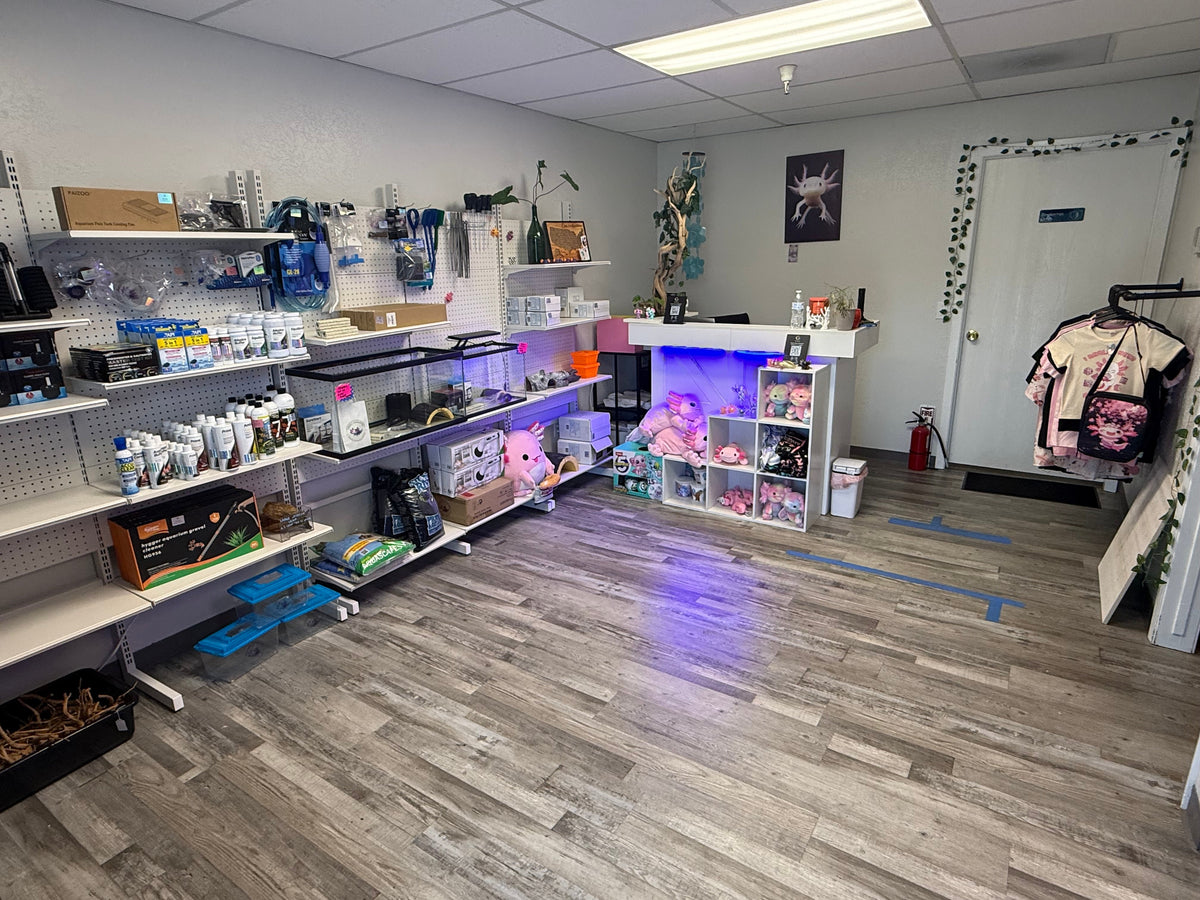Axolotl super store storefront with aquatic supplies 