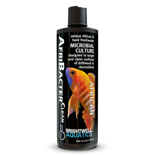 AfriBacter Clean