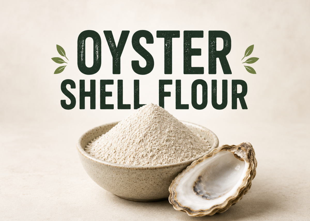 Oyster Shell Flour for Worm Bins from Utah Worm Company