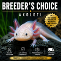 Breeder’s Choice Axolotl selected by Axolotl Superstore with Live Arrival Guarantee and overnight shipping