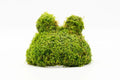 Christmas Moss Teddy Bear