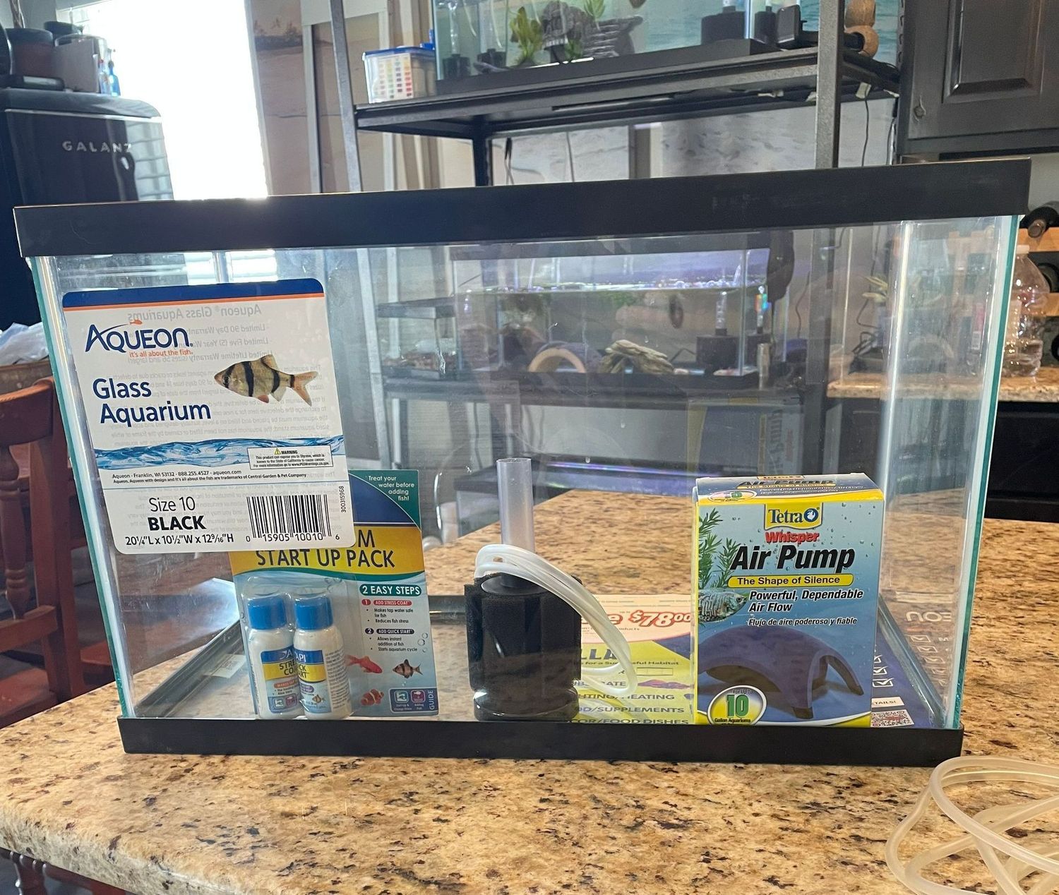 Deluxe Axolotl Setup - 10 Gallon Aquarium