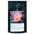Florin Xport PO4