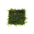 Java Moss on Mat